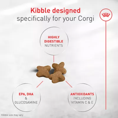 Royal Canin Breed Health Nutrition Corgi Puppy Dry Dog Food - Image 3