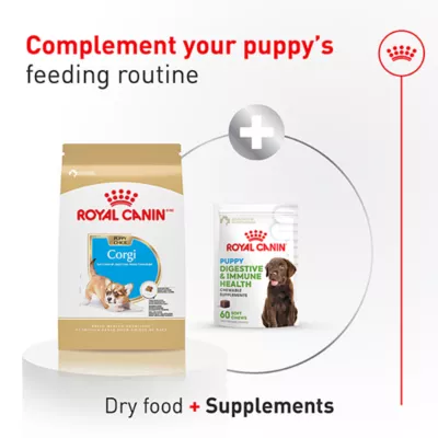 Royal Canin Breed Health Nutrition Corgi Puppy Dry Dog Food - Image 4