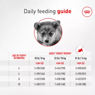 Royal Canin Breed Health Nutrition Corgi Puppy Dry Dog Food - Image 8
