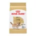 Royal Canin Breed Health Nutrition Corgi Adult Dry Dog Food image thumbnail 1