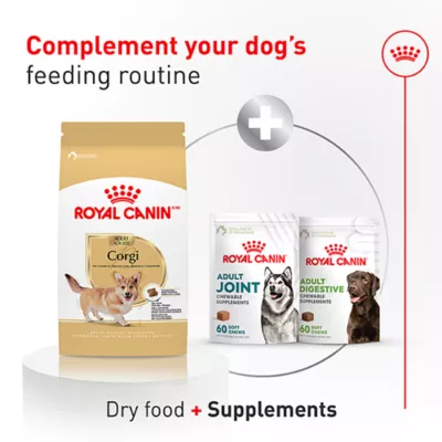 Royal Canin Breed Health Nutrition Corgi Adult Dry Dog Food - Image 4