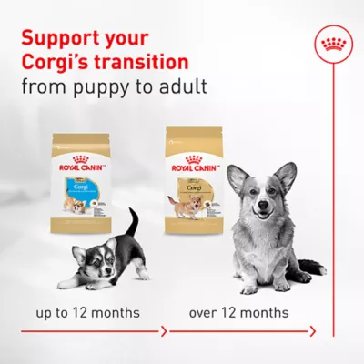 Royal Canin Breed Health Nutrition Corgi Adult Dry Dog Food - Image 5