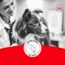 Royal Canin Breed Health Nutrition Corgi Adult Dry Dog Food image thumbnail 7