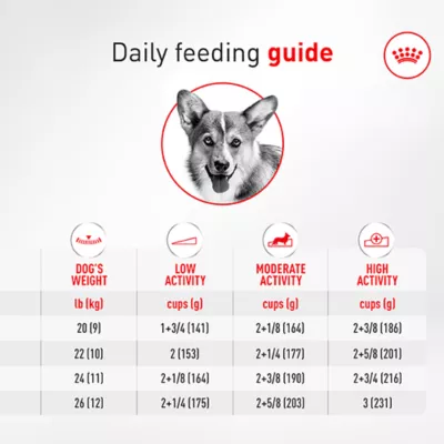 Royal Canin Breed Health Nutrition Corgi Adult Dry Dog Food - Image 8