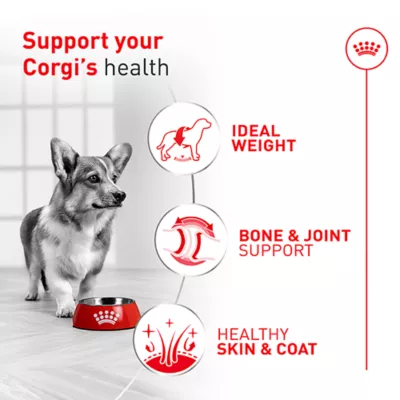 Royal Canin Breed Health Nutrition Corgi Adult Dry Dog Food - Image 2