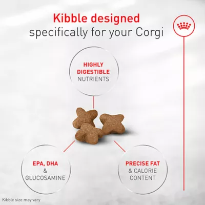 Royal Canin Breed Health Nutrition Corgi Adult Dry Dog Food - Image 3