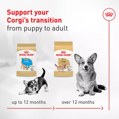 Royal Canin Breed Health Nutrition Corgi Adult Dry Dog Food - Image 5