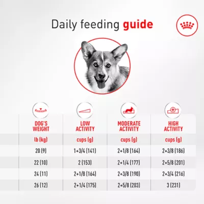 Royal Canin Breed Health Nutrition Corgi Adult Dry Dog Food - Image 8