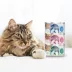 Weruva Timeless Tails Senior Grain Free 11+ Wet Cat Food, In Gravy, 12 ct Variety Pack image thumbnail 7