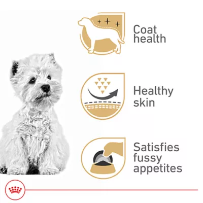 Royal Canin Breed Health Nutrition West Highland White Terrier Adult Dry Dog Food - Image 2