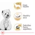 Royal Canin Breed Health Nutrition West Highland White Terrier Adult Dry Dog Food image thumbnail 2