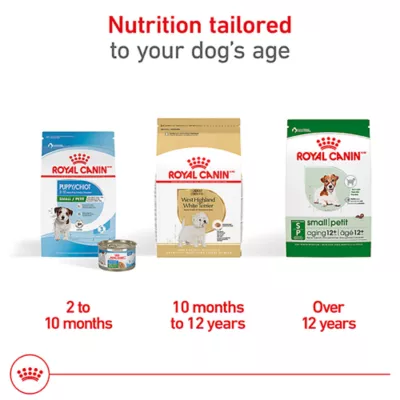 Royal Canin Breed Health Nutrition West Highland White Terrier Adult Dry Dog Food - Image 4