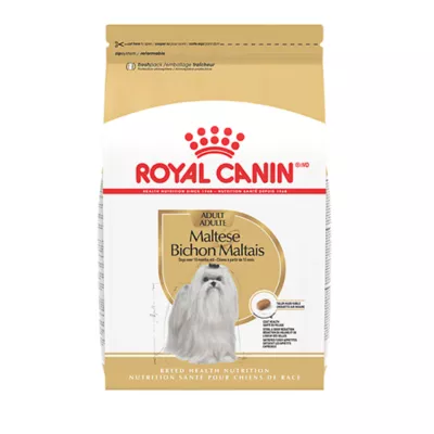 Royal Canin® Breed Health Nutrition Maltese Adult Dog Dry Food - Image 1