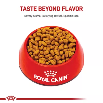 Royal Canin® Breed Health Nutrition Maltese Adult Dog Dry Food - Image 2