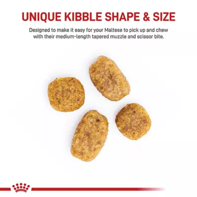 Royal Canin® Breed Health Nutrition Maltese Adult Dog Dry Food - Image 4