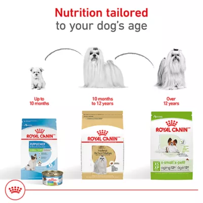 Royal Canin® Breed Health Nutrition Maltese Adult Dog Dry Food - Image 6