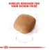 Royal Canin Breed Health Nutrition Bichon Frise Adult Dry Dog Food image thumbnail 3