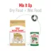 Royal Canin Breed Health Nutrition Bichon Frise Adult Dry Dog Food image thumbnail 4