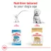 Royal Canin Breed Health Nutrition Bichon Frise Adult Dry Dog Food image thumbnail 5