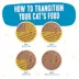 Weruva B.F.F. Grain Free Adult Wet Cat Food, In Gravy, 12 ct Variety Pack image thumbnail 5