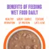 Weruva B.F.F. Grain Free Adult Wet Cat Food, In Gravy, 12 ct Variety Pack image thumbnail 6