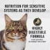 Purina Pro Plan Specialized Senior Sensitive Skin & Stomach Salmon & Rice Formula Dry Cat Food image thumbnail 2