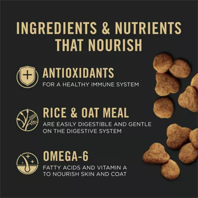Purina Pro Plan Specialized Senior Sensitive Skin & Stomach Salmon & Rice Formula Dry Cat Food - Image 6