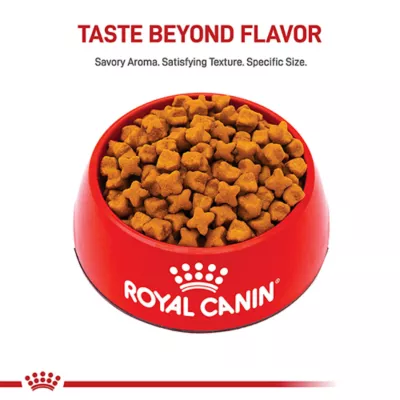 Royal Canin Breed Health Nutrition German Sheperd Senior 5+ Dry Dog Food - Image 2