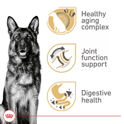 Royal Canin Breed Health Nutrition German Sheperd Senior 5+ Dry Dog Food - Image 3
