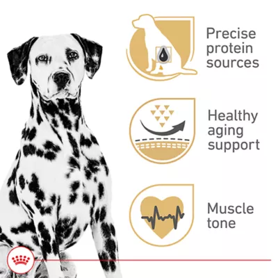 Royal Canin Breed Health Nutrition Dalmation Adult Dry Dog Food - Image 2