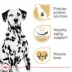 Royal Canin Breed Health Nutrition Dalmation Adult Dry Dog Food image thumbnail 2