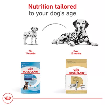 Royal Canin Breed Health Nutrition Dalmation Adult Dry Dog Food - Image 4