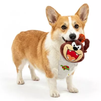 Space Jam Tasmanian Plush Dog Toy - Image 5