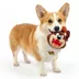 Space Jam Tasmanian Plush Dog Toy image thumbnail 5