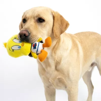 Space Jam Tweety Plush Dog Toy - Image 5