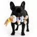Space Jam Lola Bunny Plush Dog Toy image thumbnail 5