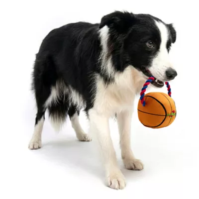Space Jam Oxford Basketball Rope Dog Toy - Image 5