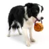 Space Jam Oxford Basketball Rope Dog Toy image thumbnail 5