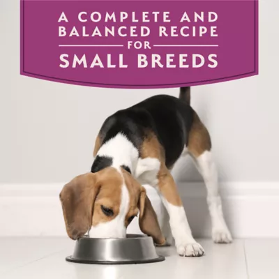 Natural Balance Limited Ingredient Diets Small Breed Adult Wet Dog Food - 3.5 oz - Image 3