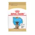 Royal Canin® Breed Health Nutrition® German Shepherd Puppy Dog Dry Food image thumbnail 1