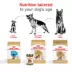 Royal Canin® Breed Health Nutrition® German Shepherd Puppy Dog Dry Food image thumbnail 7