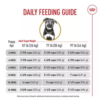 Royal Canin® Breed Health Nutrition® German Shepherd Puppy Dog Dry Food - Image 10