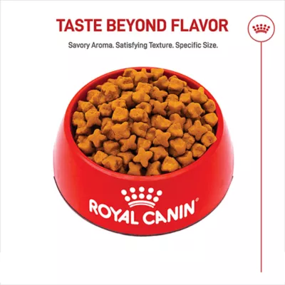 Royal Canin Breed Health Nutrition German Shepherd Adult Dry Dog Food - Image 2