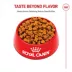 Royal Canin Breed Health Nutrition German Shepherd Adult Dry Dog Food image thumbnail 2