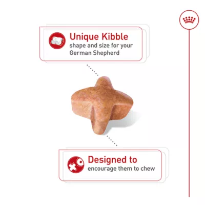 Royal Canin Breed Health Nutrition German Shepherd Adult Dry Dog Food - Image 5