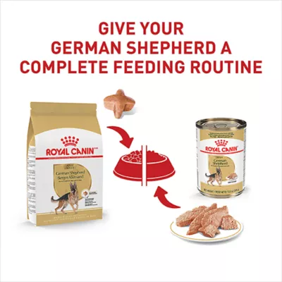 Royal Canin Breed Health Nutrition German Shepherd Adult Dry Dog Food - Image 6