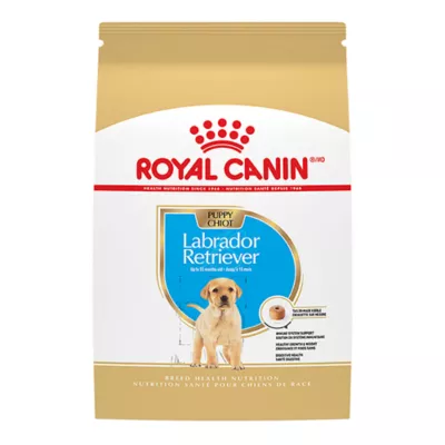 Royal Canin Breed Health Nutrition Labrador Retriever Puppy Dry Dog Food - Image 1