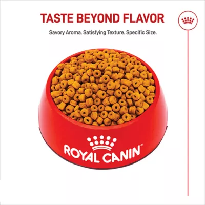 Royal Canin Breed Health Nutrition Labrador Retriever Puppy Dry Dog Food - Image 2