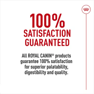 Royal Canin Breed Health Nutrition Labrador Retriever Puppy Dry Dog Food - Image 5