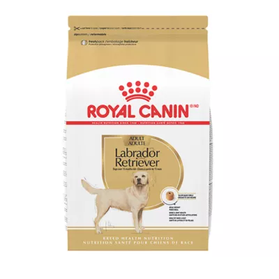 Royal Canin® Breed Health Nutrition® Labrador Retriever Adult Dog Dry Food - Image 1